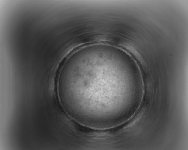 X0000090431023200707201132