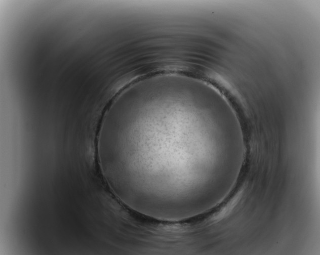 X0000090431025200707201132