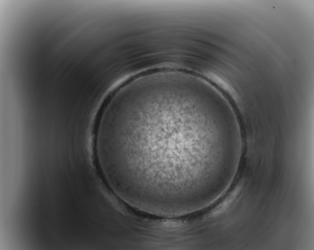 X0000090431029200707201132