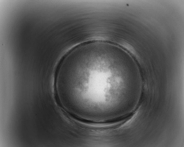 X0000090431030200707201132