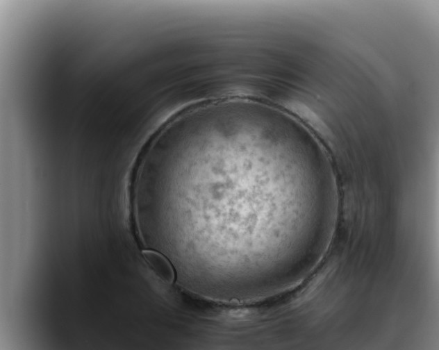 X0000090431031200707201132