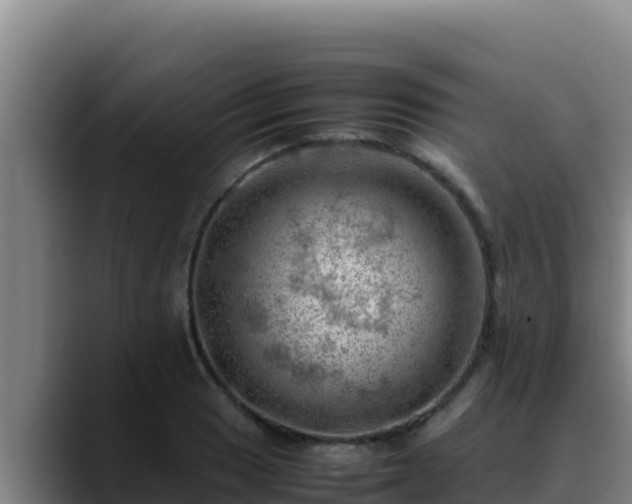 X0000090431033200707201132