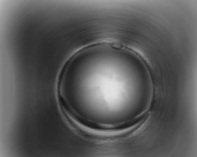X0000090431038200707201132