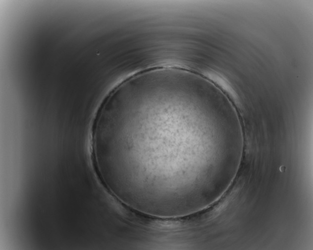 X0000090431040200707201132