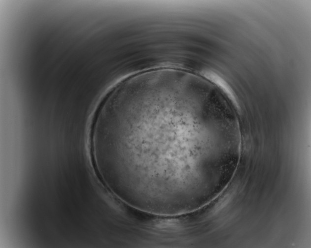 X0000090431043200707201132