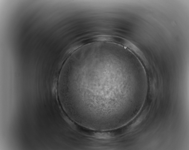 X0000090431049200707201132