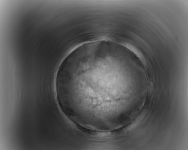 X0000090431055200707201133