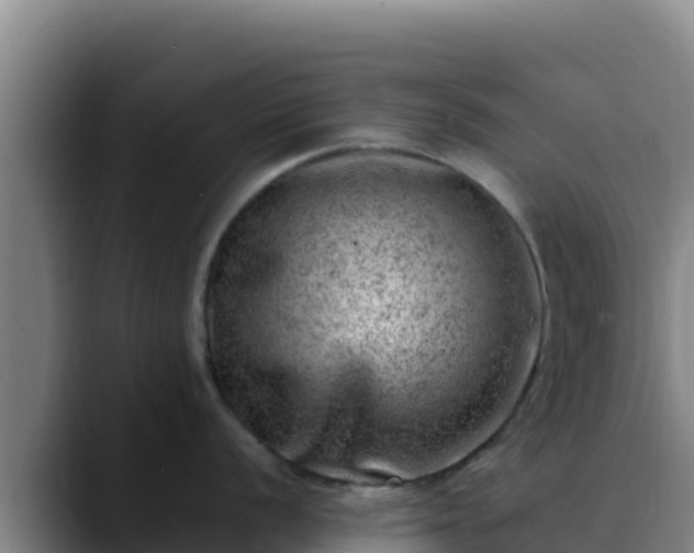 X0000090431056200707201133