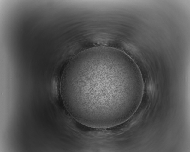 X0000090431060200707201132