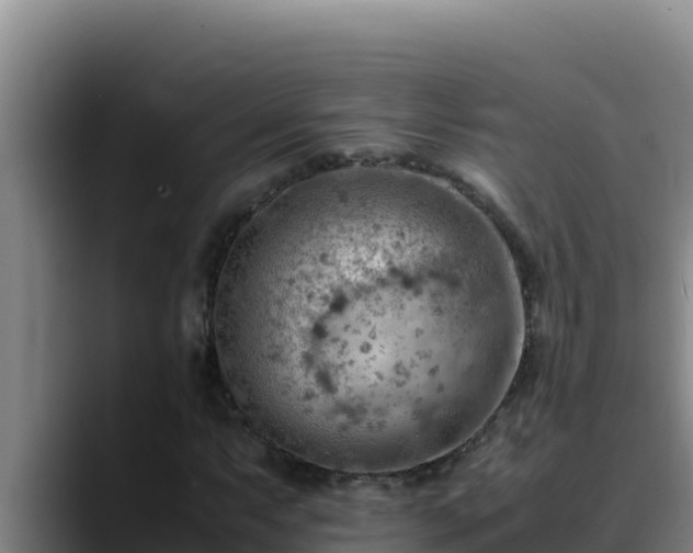 X0000090431063200707201132