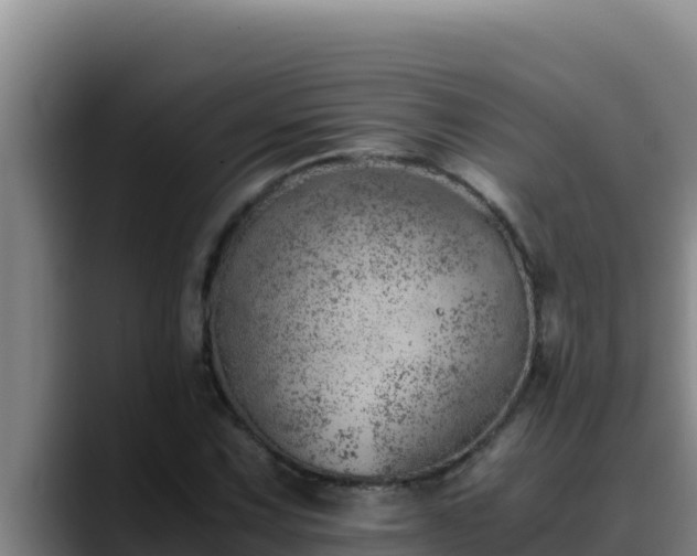 X0000090431067200707201132