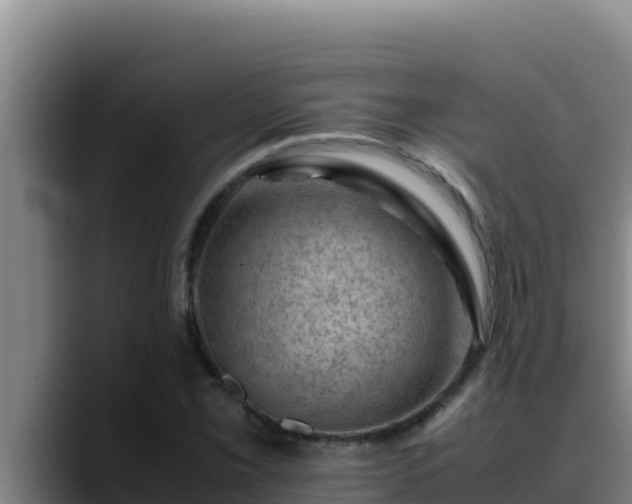 X0000090431069200707201132