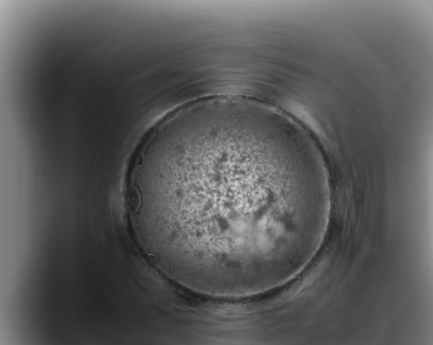 X0000090431071200707201132