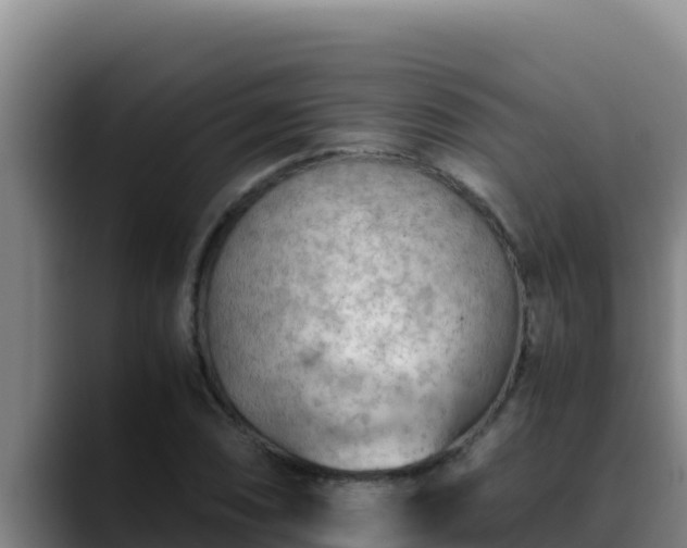 X0000090431074200707201132