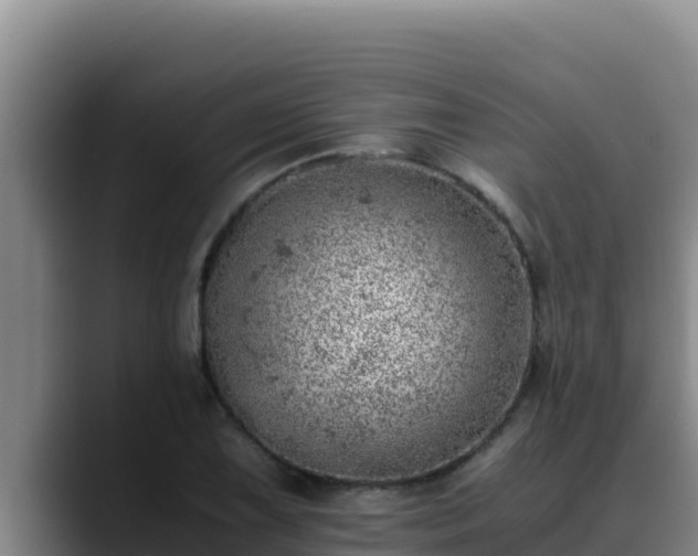 X0000090431075200707201132