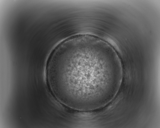 X0000090431076200707201132