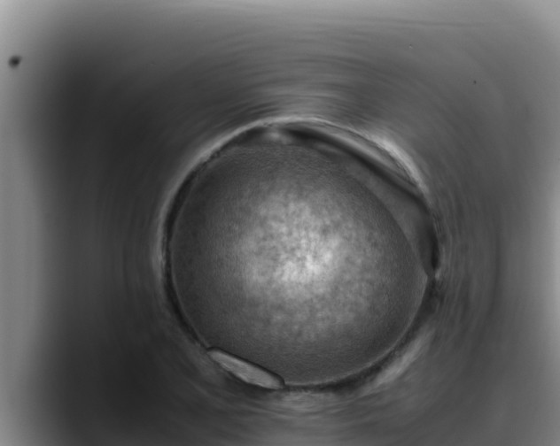 X0000090431077200707201132
