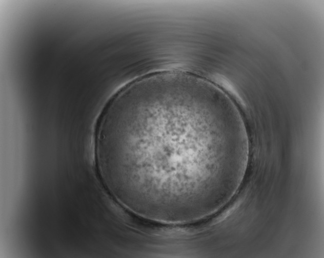 X0000090431079200707201132