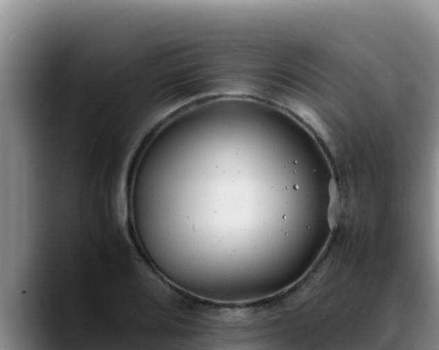 X0000090431080200707201132