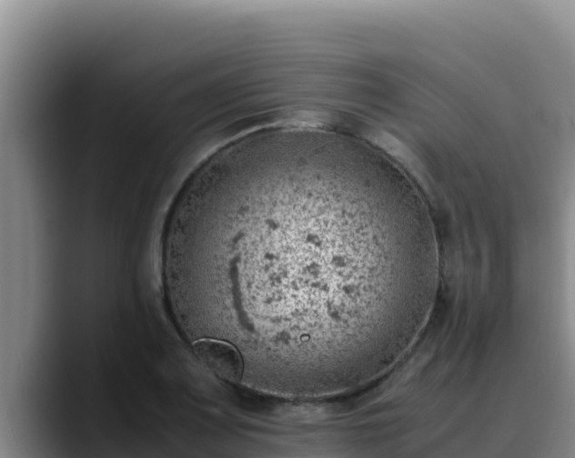 X0000090431083200707201132