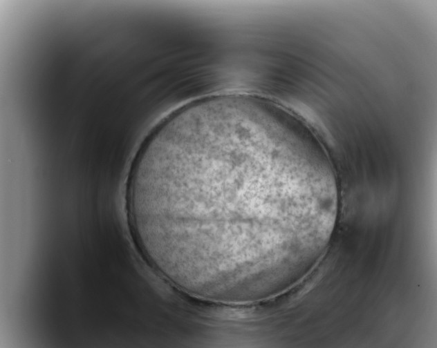 X0000090431086200707201132