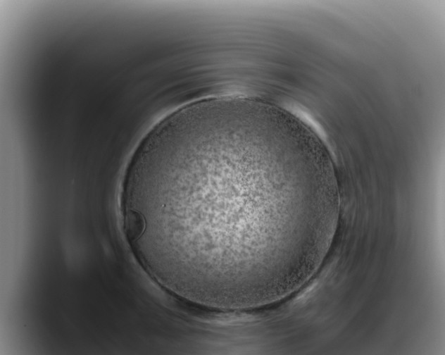 X0000090431091200707201132