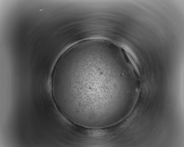 X0000090431092200707201132