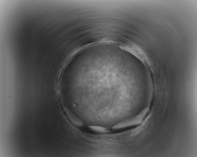 X0000090431097200707201132
