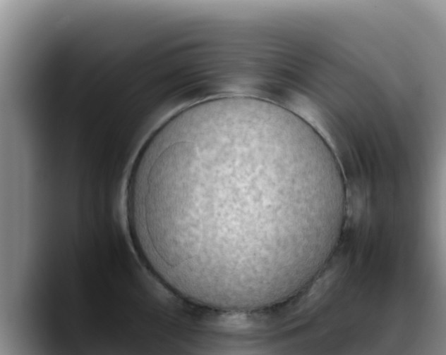 X0000090431098200707201132
