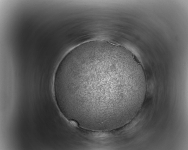 X0000090431103200707201131