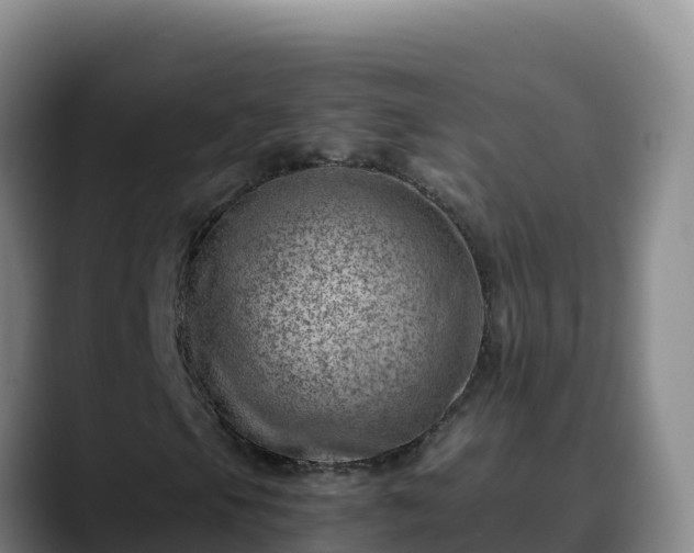 X0000090431105200707201131