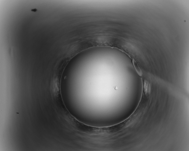 X0000090431107200707201131