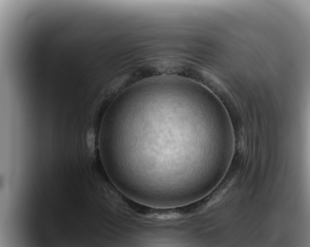 X0000090431108200707201131