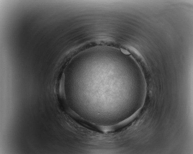 X0000090431112200707201131