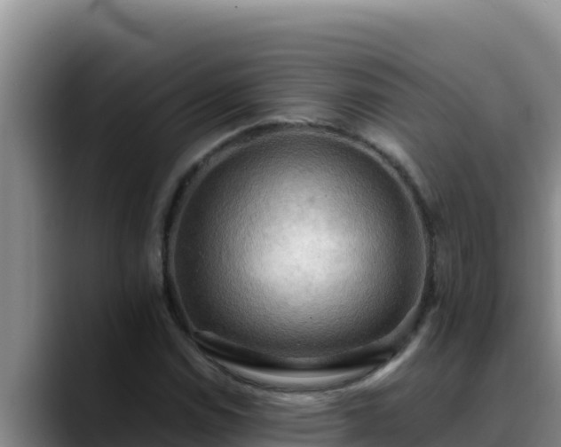 X0000090431114200707201131