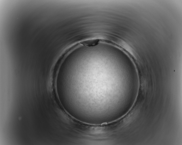 X0000090431116200707201131
