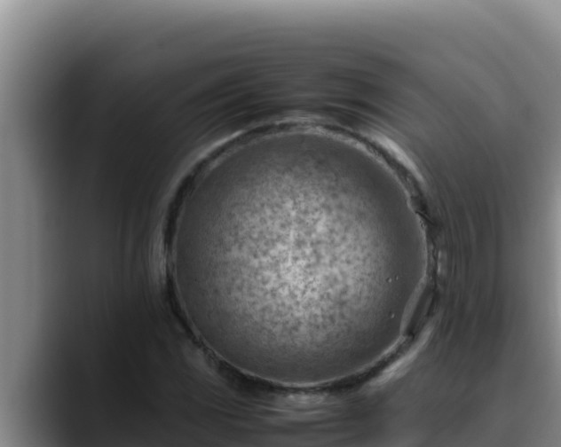 X0000090431117200707201131