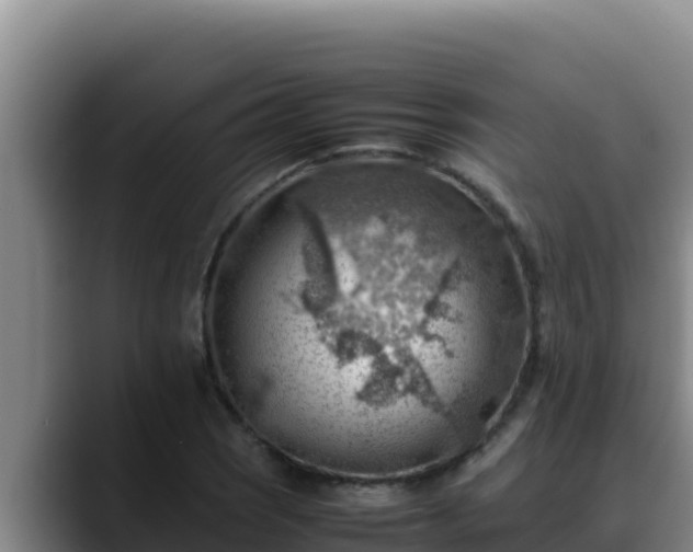 X0000090431121200707201131