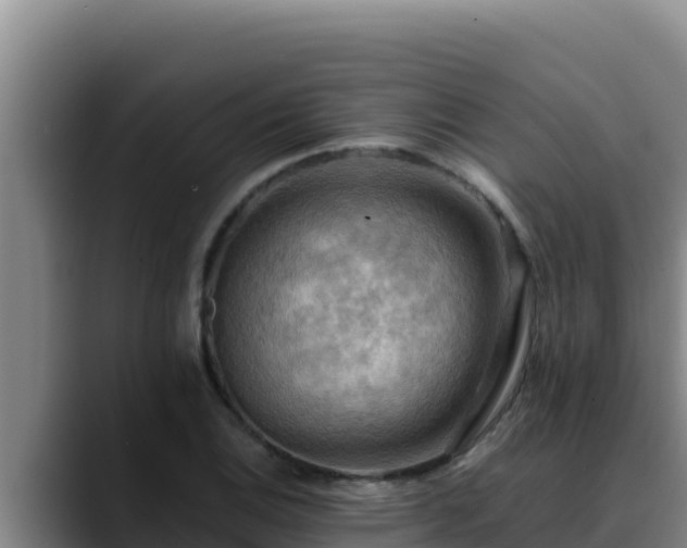 X0000090431124200707201131