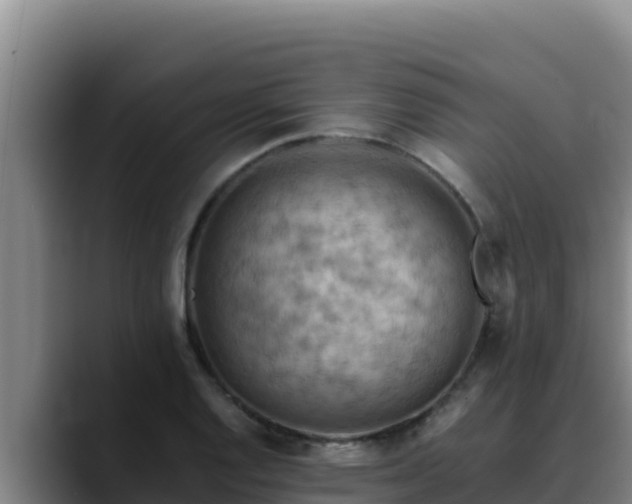 X0000090431128200707201131