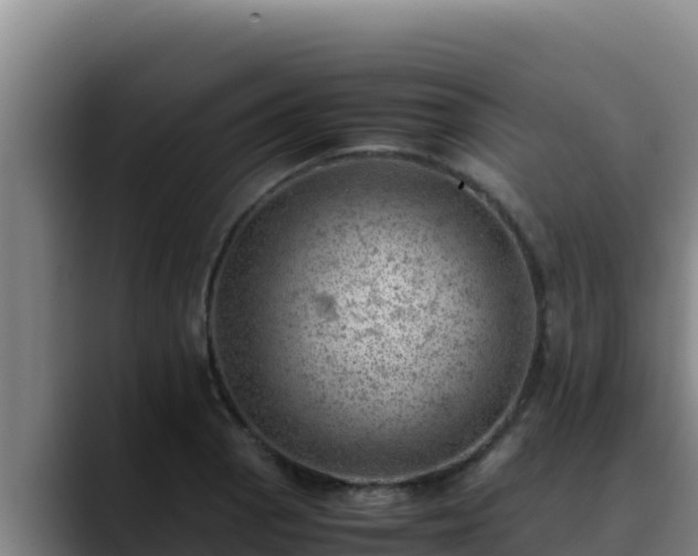 X0000090431129200707201131