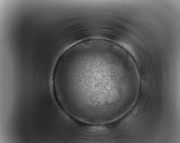 X0000090431133200707201131