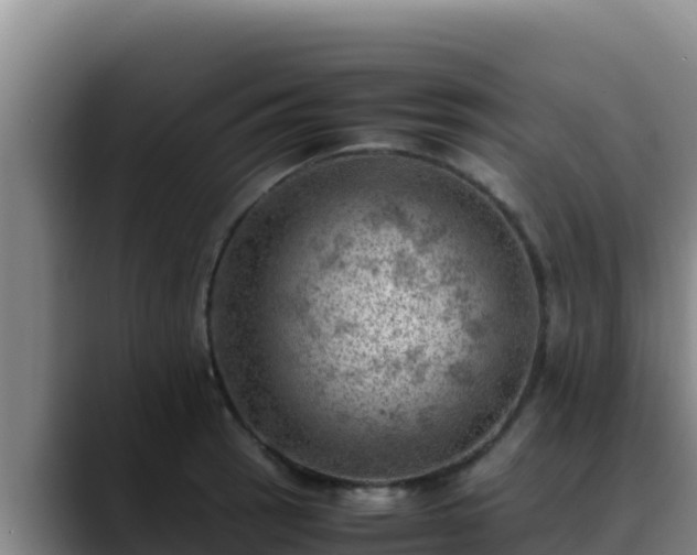 X0000090431137200707201131