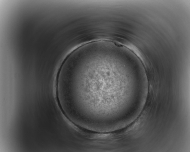 X0000090431143200707201131