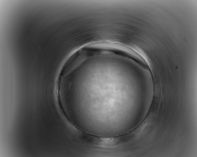 X0000090431144200707201131