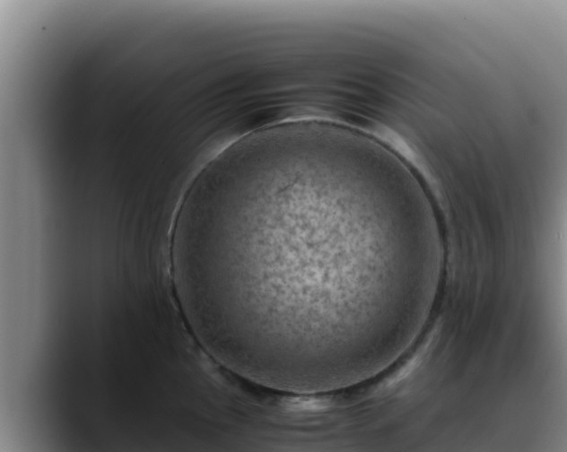 X0000090431145200707201131