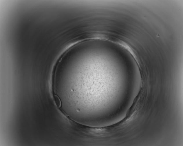 X0000090431147200707201131