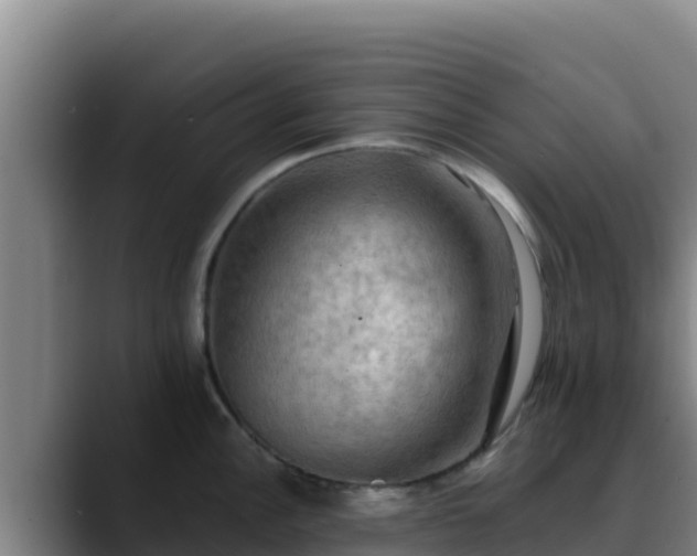 X0000090431148200707201131