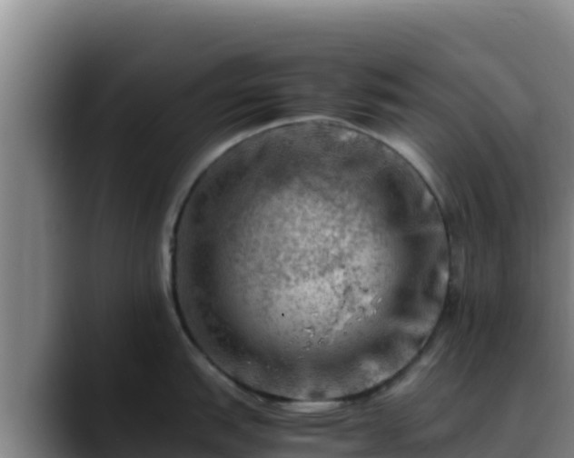 X0000090431151200707201131