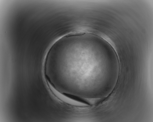X0000090431152200707201131